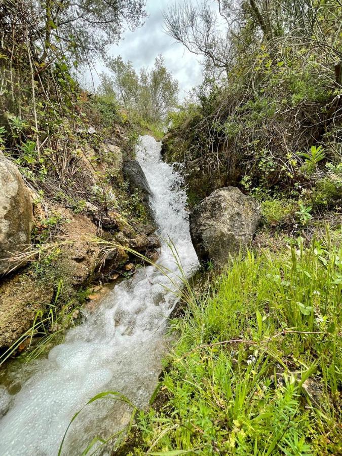 Гостевой дом Cortijo Samadhi Ланхарон Экстерьер фото