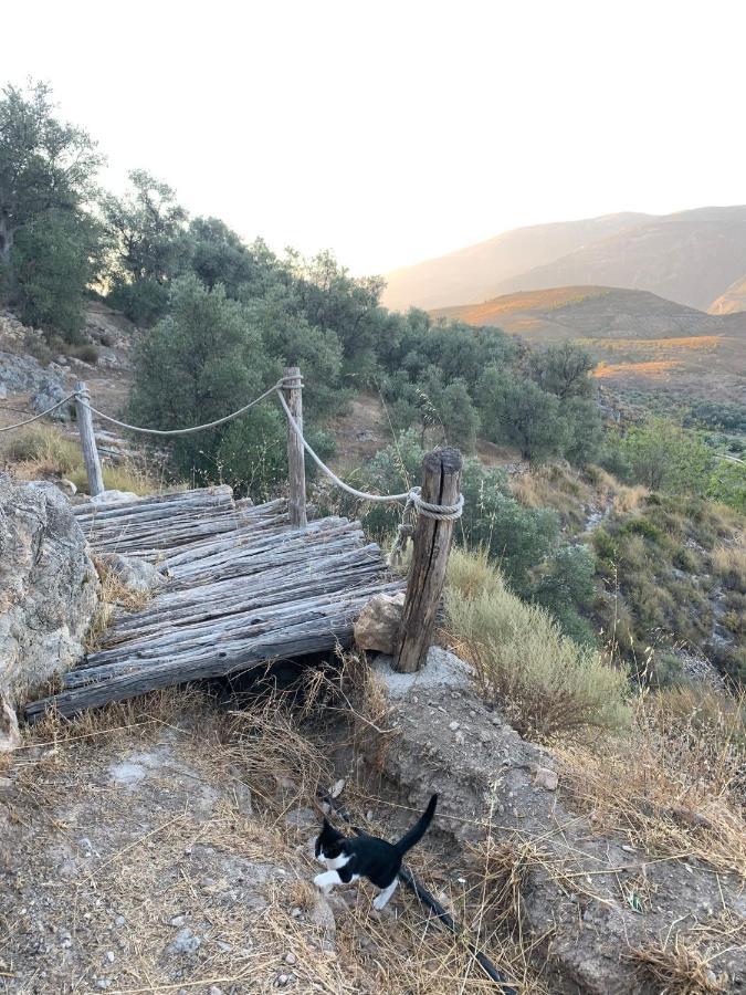 Гостевой дом Cortijo Samadhi Ланхарон Экстерьер фото